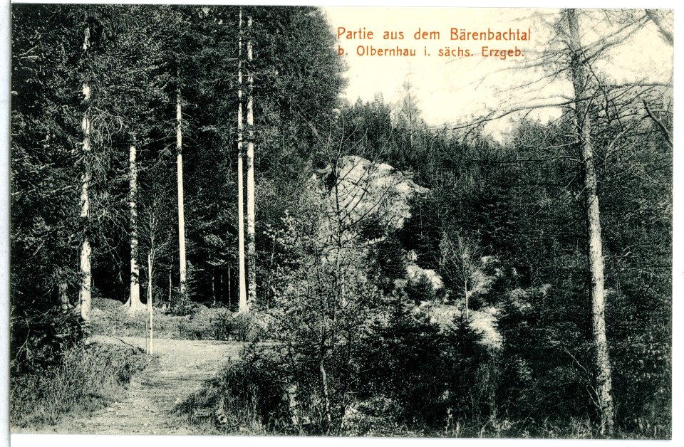 15069-Olbernhau-1912-Bärenbachtal-Brück & Sohn Kunstverlag