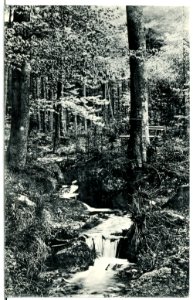 15068-Olbernhau-1912-Rungstocktal-Brück & Sohn Kunstverlag