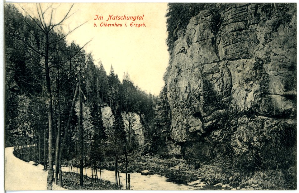 14889-Olbernhau-1912-Natschungtal-Brück & Sohn Kunstverlag