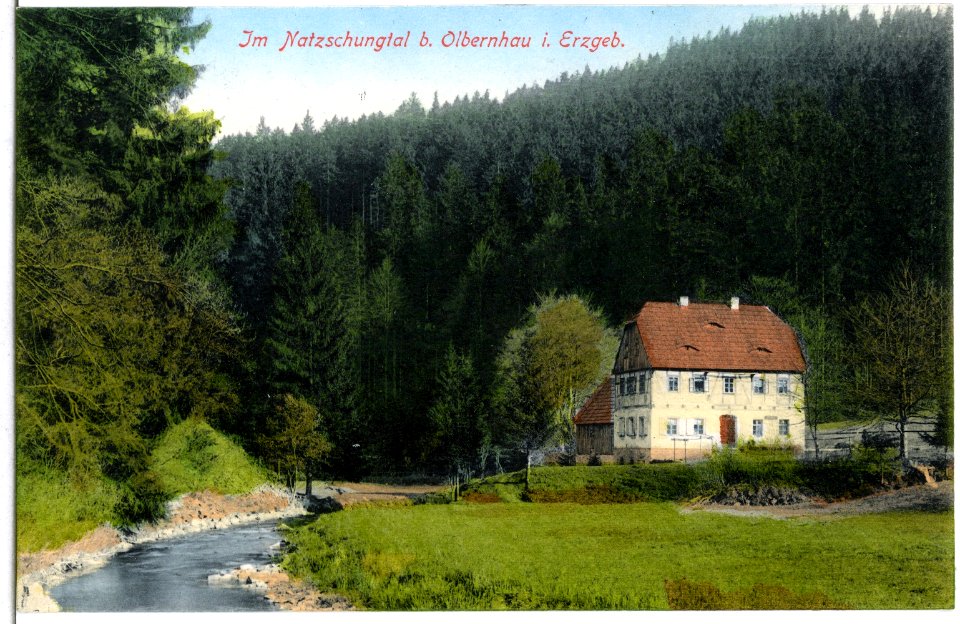 14890-Olbernhau-1912-Natschungtal-Brück & Sohn Kunstverlag