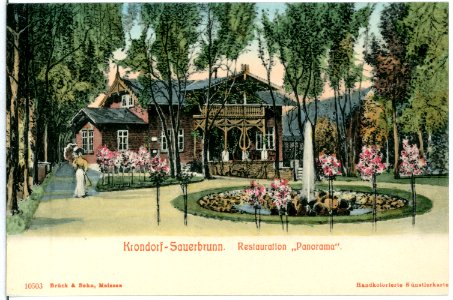 10503-Krond.Sauerbrunn-1908-Restauration "Panorama"-Brück & Sohn Kunstverlag photo