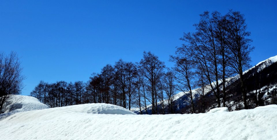 DSC04750 