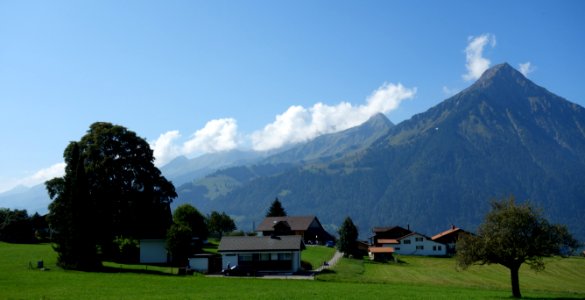 DSC02714 
