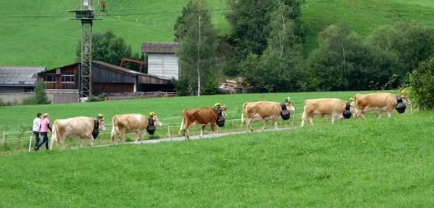DSC02518 