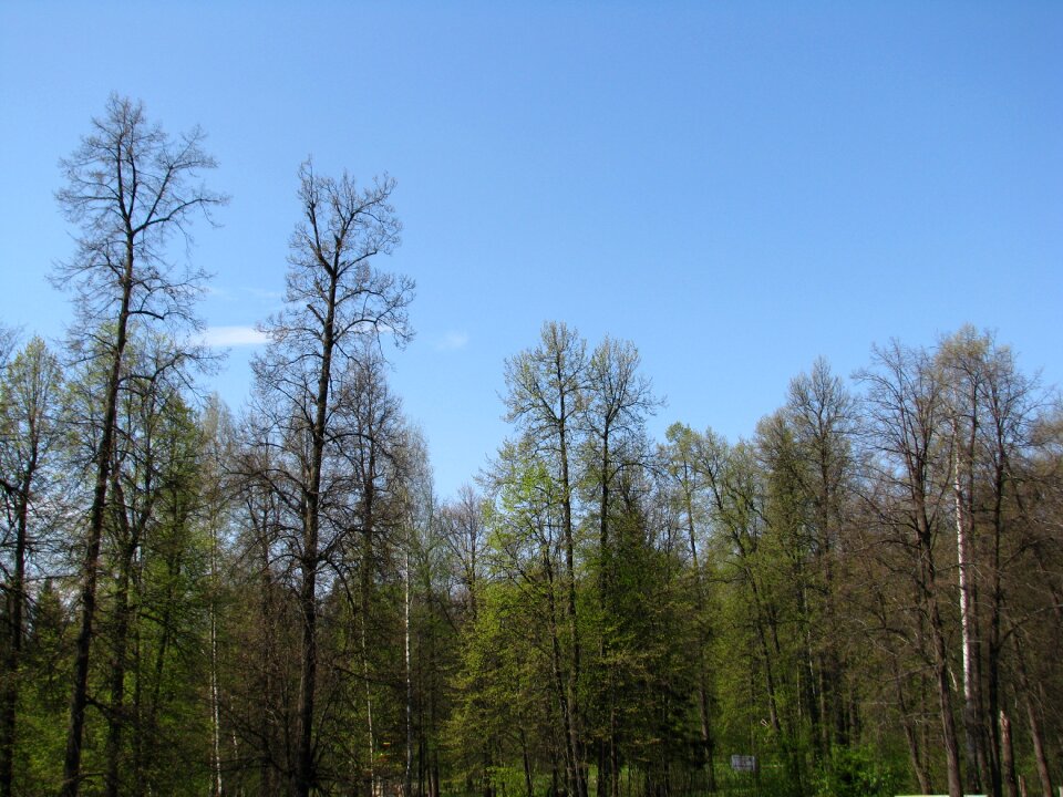 Sky nature landscape
