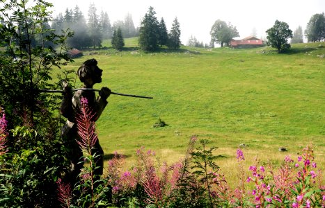 DSC02062 