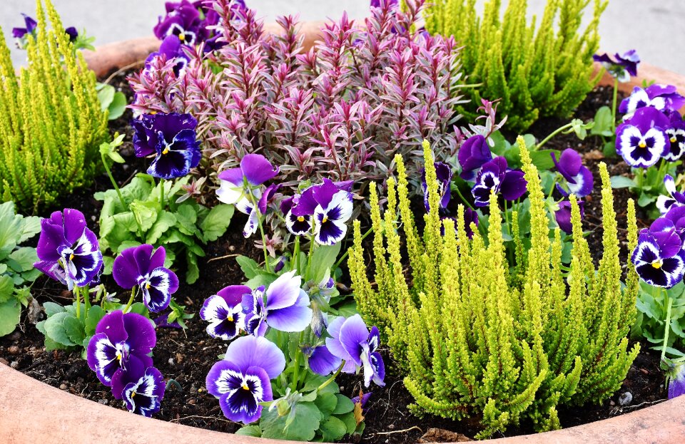 Plant green decoration