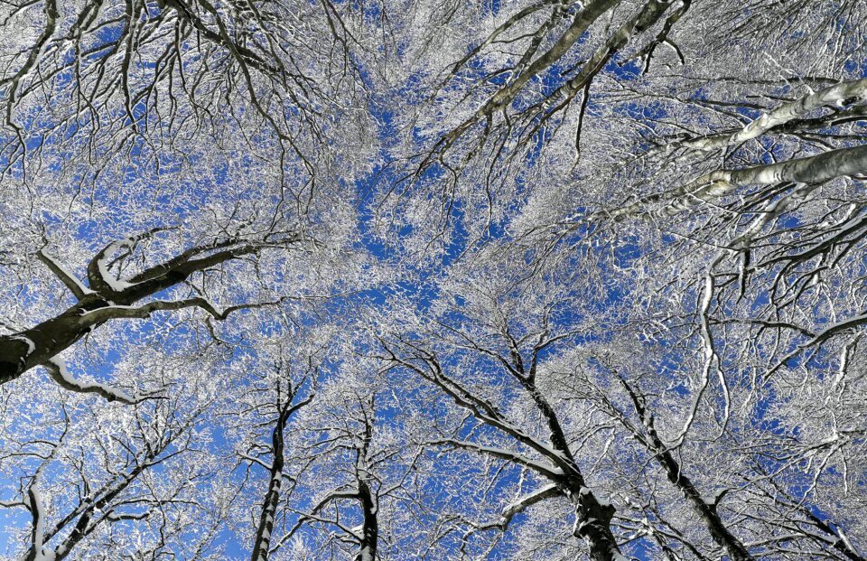 Season winter snow