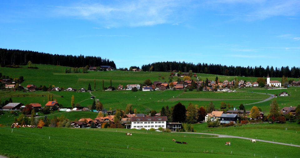 DSC04451 