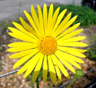 DSC01723 