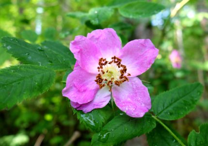 DSC01710 