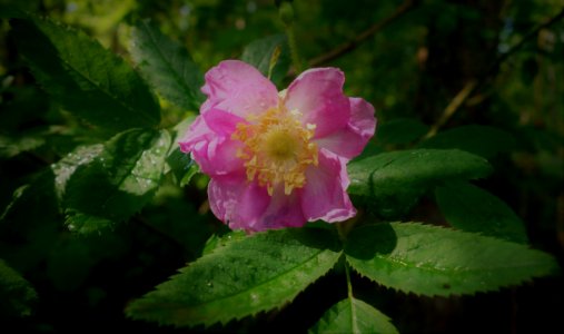 DSC01709 
