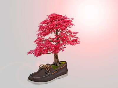 Pink color photoshop