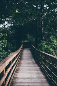 Outdoor travel green