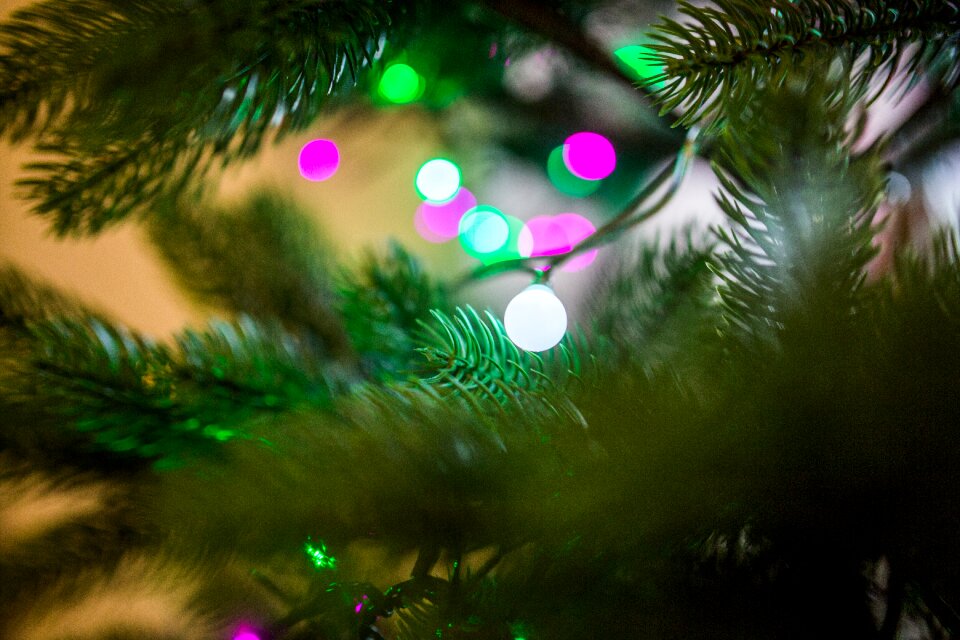 Decorations ornaments festive