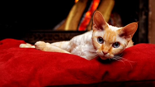 Pillow fireplace chimney