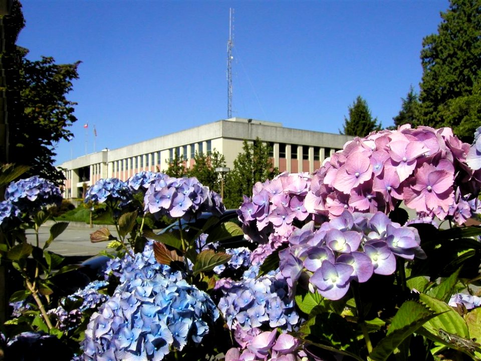 Pretty City Hall photo