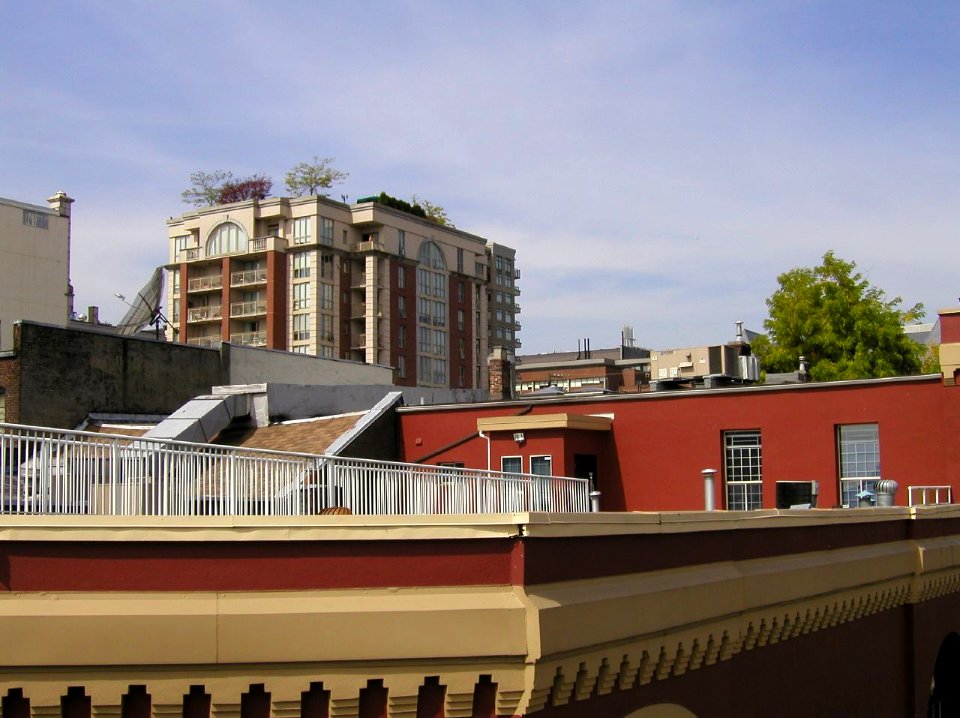 Roofs photo