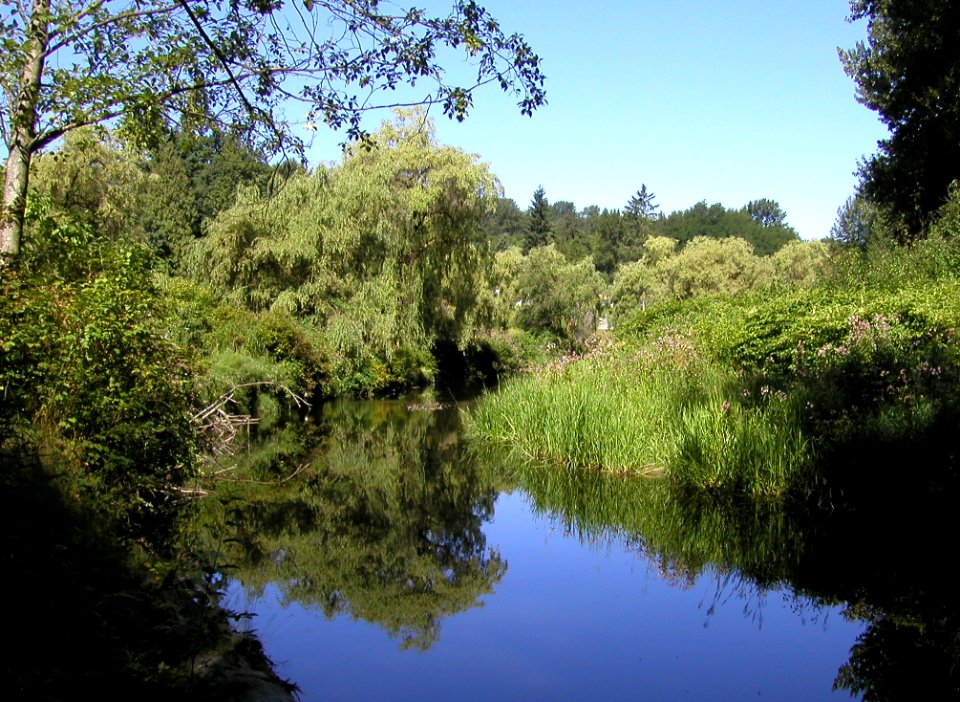 Brunette River photo