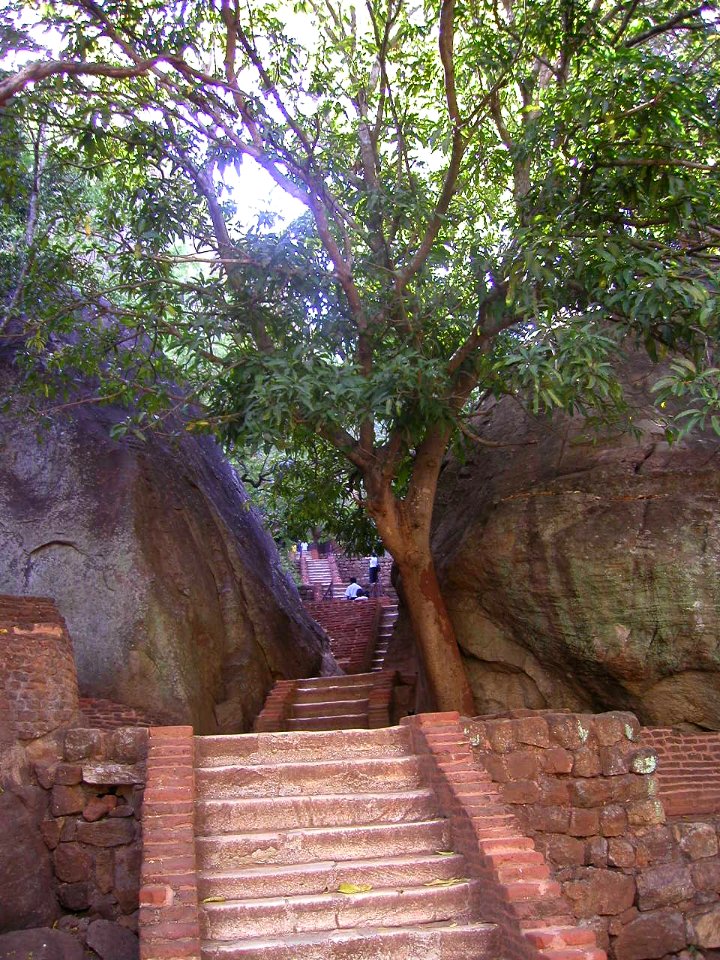 Sigiriya Rock, Sri Lanka 03/20