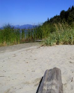 Naked Wreck Beach photo