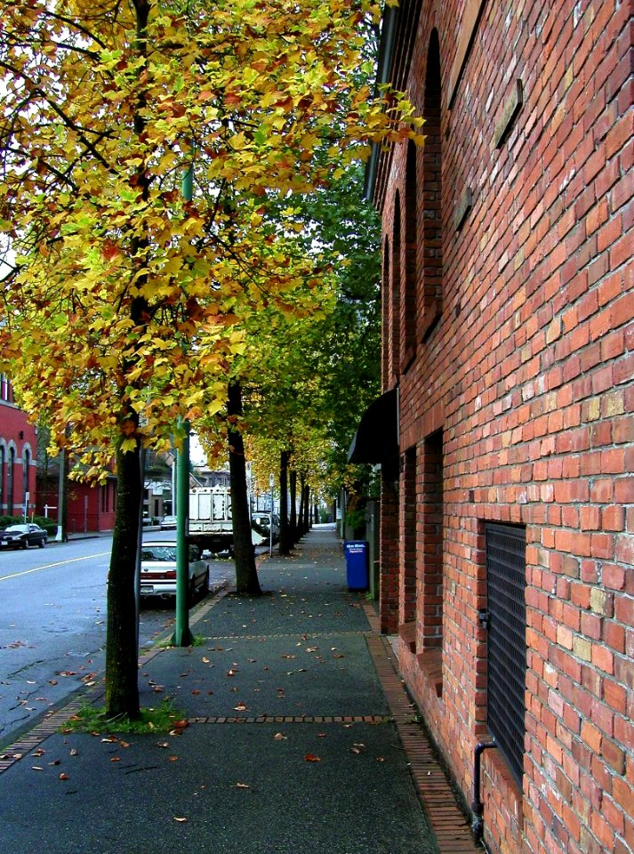 The Sidewalk Doesn't End