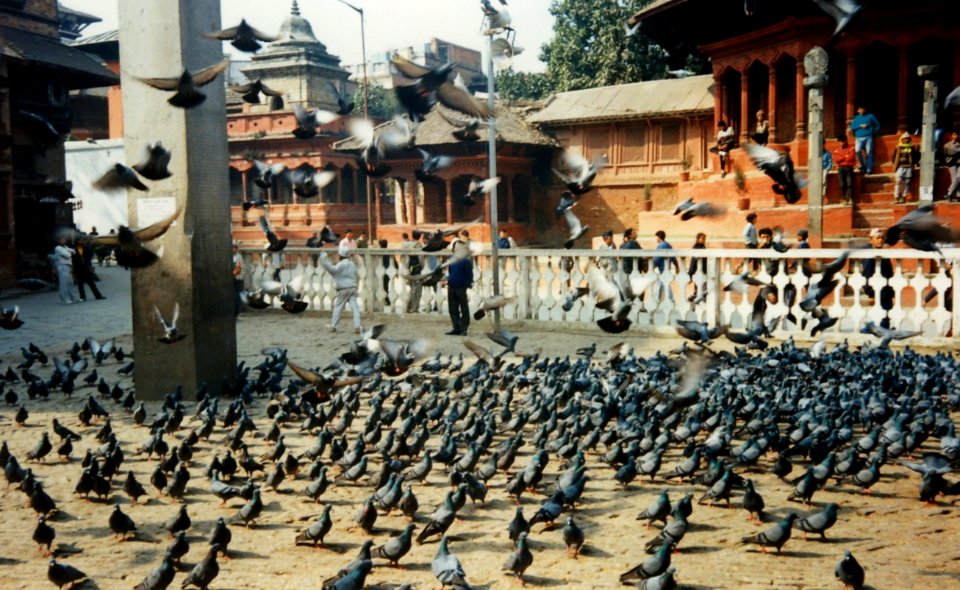 Nepal 07/21 photo