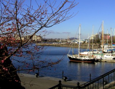 Winter Trip to Victoria 17