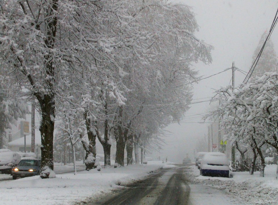Snow is Possible
