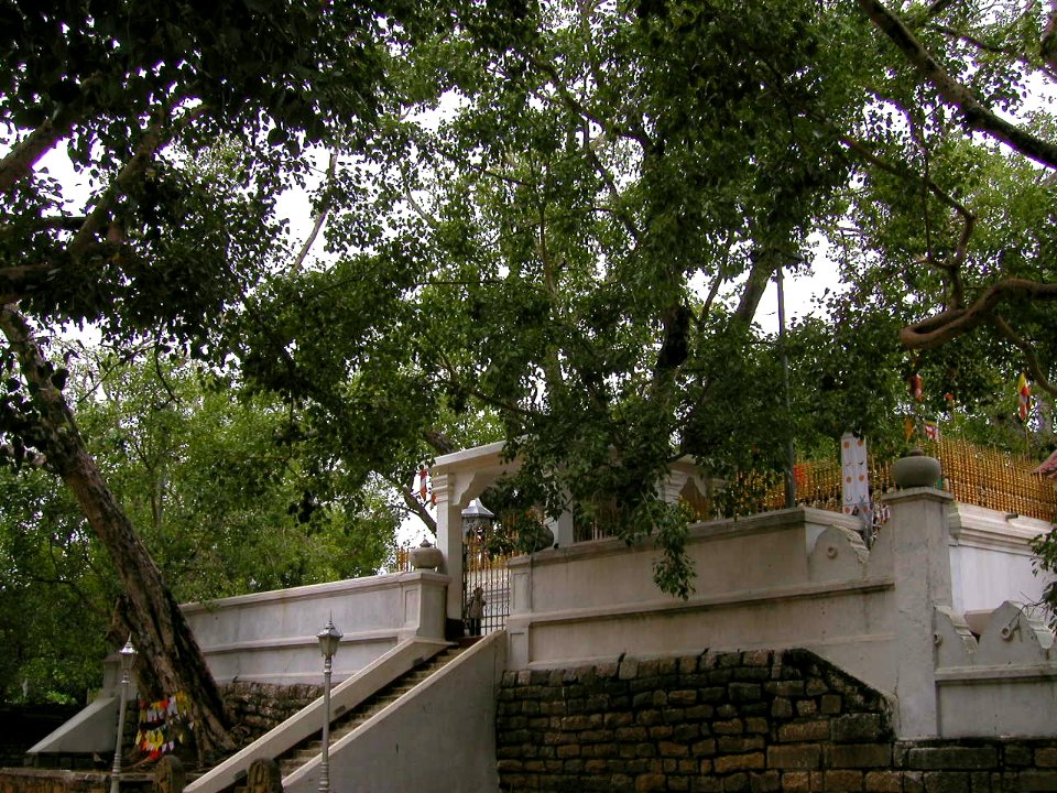 Anuradhapura, Sri Lanka 13/22