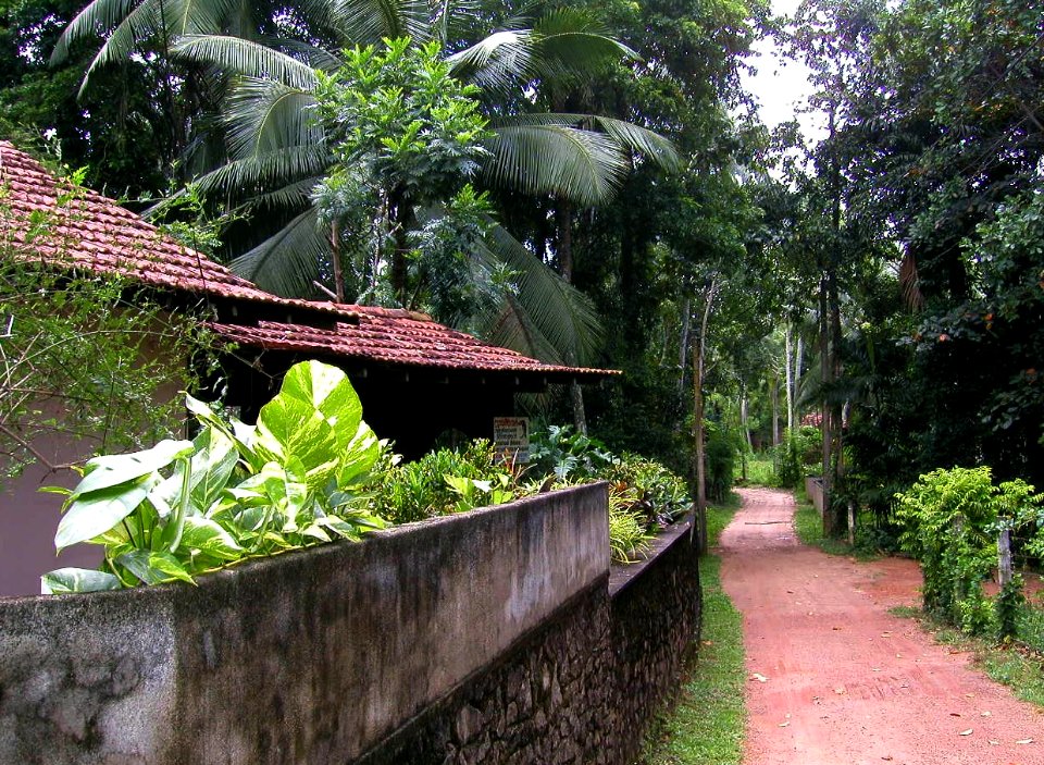 Around Home in Sri Lanka 03/08