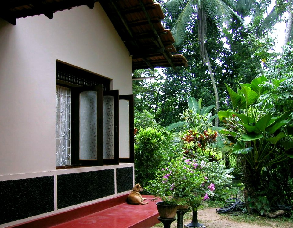 Around Home in Sri Lanka 08/08