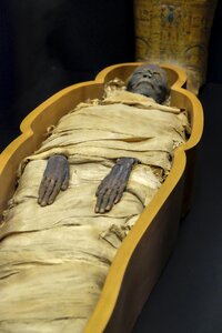 Museum egypt vatican museum