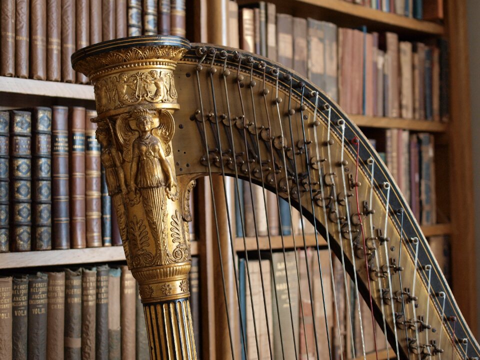 Library brown music brown library
