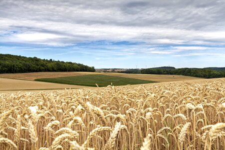Nature agriculture clouds