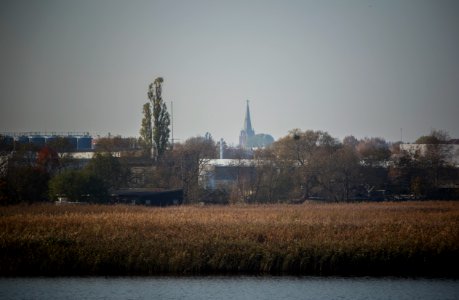IMG_1412