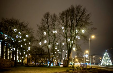 IMG_8545