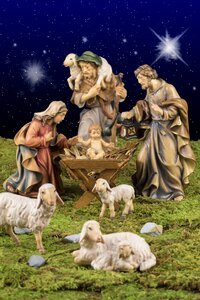 Schäfchen christmas reborn