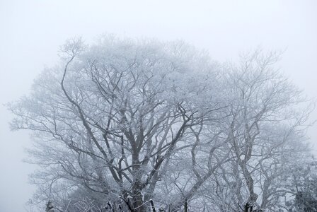 England lincolnshire snow photo