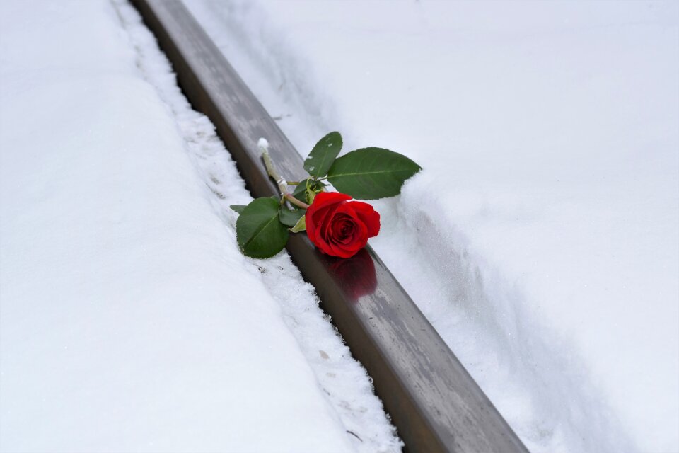Lost love winter snowy