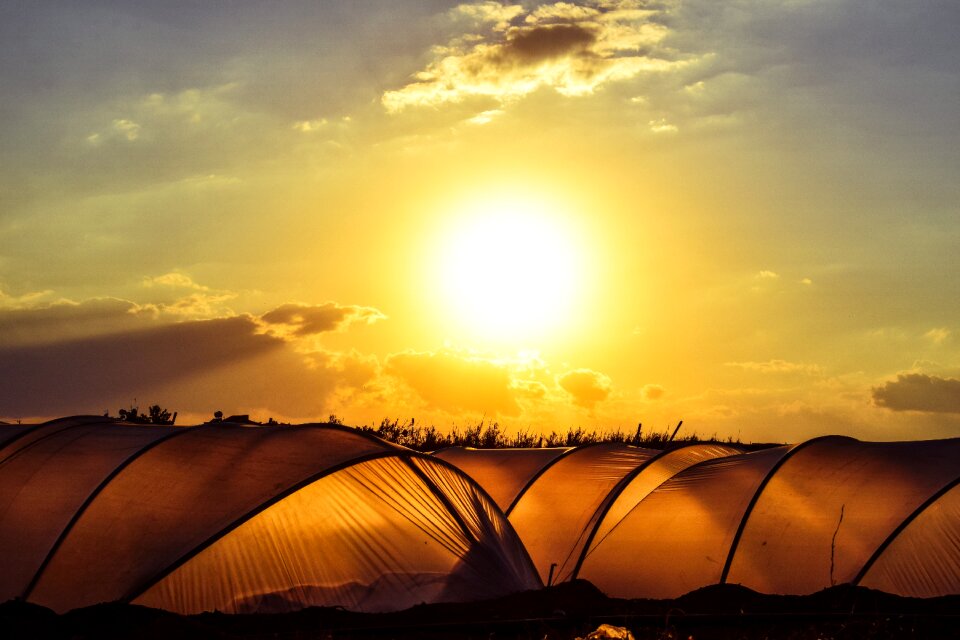 Farm cultivation sun
