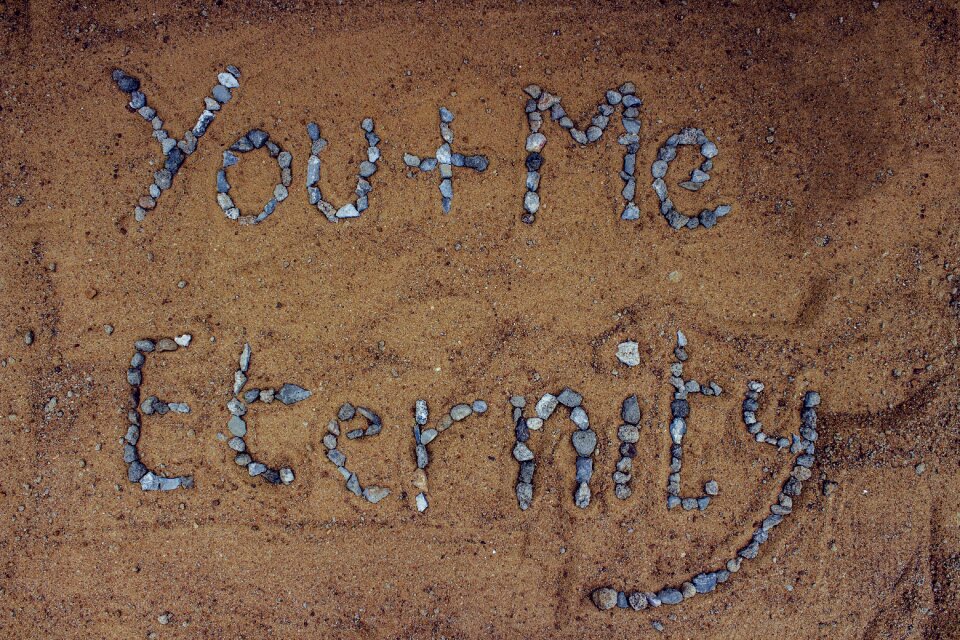 Love birds lovers love eternity