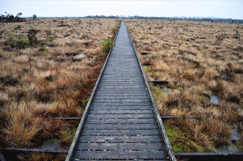 Outdoor no person road