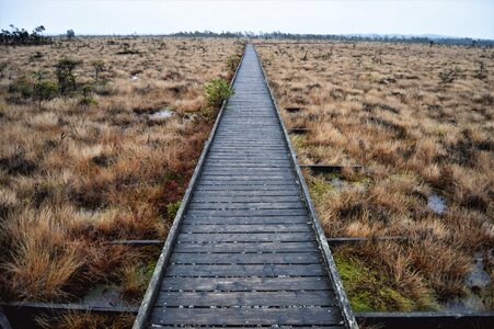 Outdoor no person road