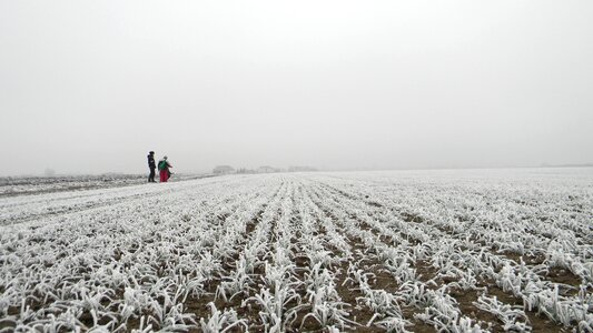 Mraz icing slovakia