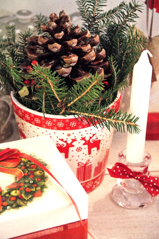 Festive holidays gifts