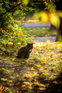 IMG_0956