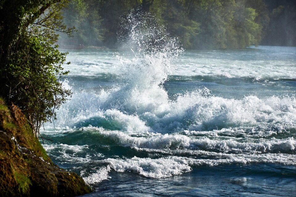 Nature landscape rhine falls