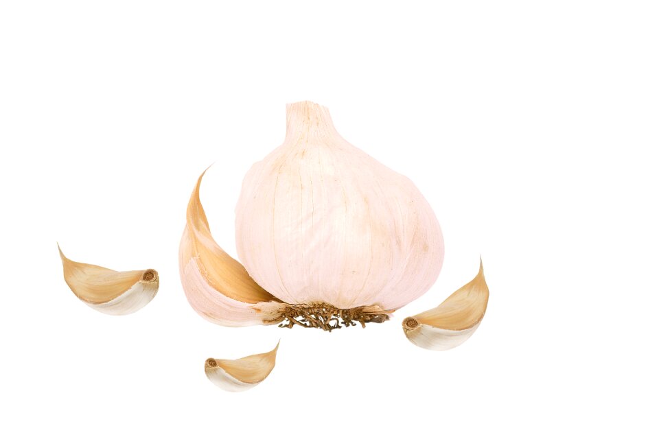Food clove isolated