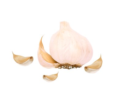Food clove isolated